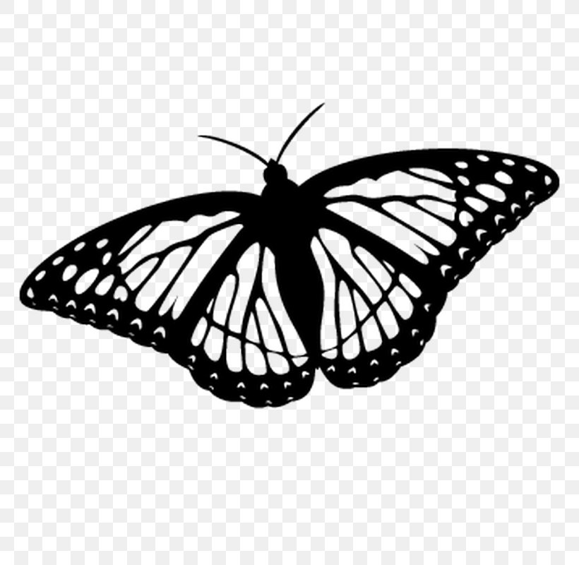 Monarch Butterfly Coloring Book Clip Art Drawing, PNG, 800x800px, Butterfly, Arthropod, Biological Life Cycle, Black And White, Brush Footed Butterfly Download Free