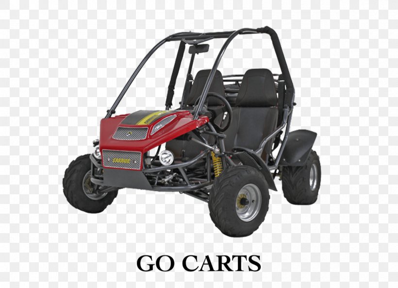 Off Road Go-kart Kart Racing Country Carts LLC Electric Go-kart, PNG, 1200x868px, Gokart, Auto Racing, Automotive Exterior, Automotive Tire, Automotive Wheel System Download Free