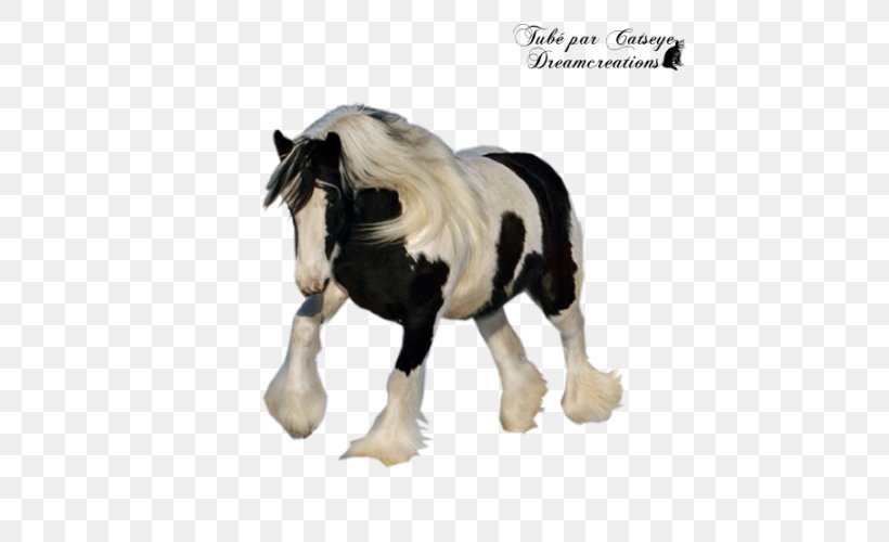 Stallion Mustang Mare Halter Mane, PNG, 600x500px, Stallion, Animal Figure, Figurine, Fur, Halter Download Free