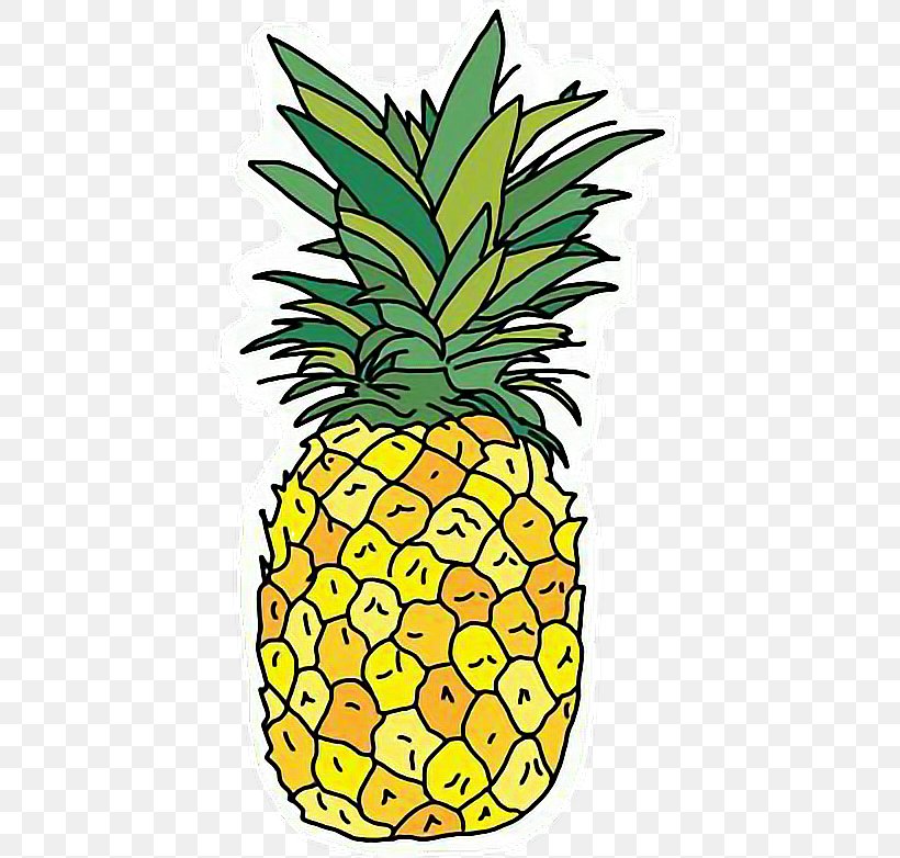 Sticker Transparency Image Desktop Wallpaper, PNG, 444x782px, Sticker, Ananas, Bromeliaceae, Collage, Drawing Download Free