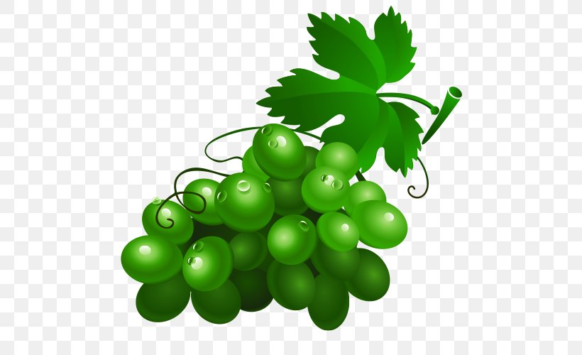Wine Grape Drawing Fruit Clip Art, PNG, 500x500px, Wine, Auglis, Cartoon, Drawing, Food Download Free