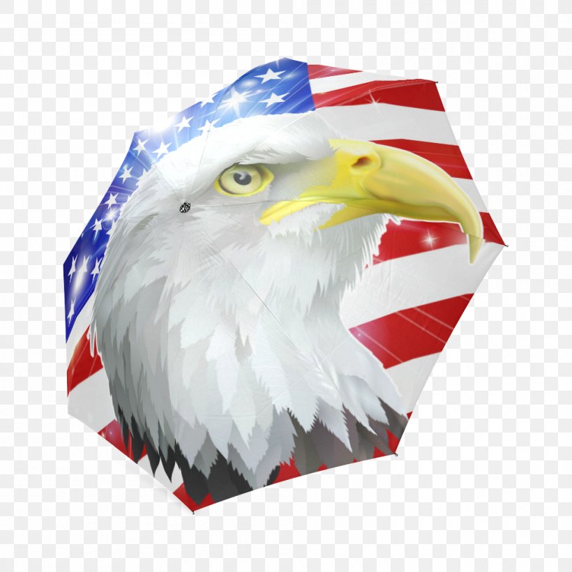 Bald Eagle Douchegordijn Beak Bathroom, PNG, 1000x1000px, Bald Eagle, Accipitriformes, Bathroom, Beak, Bird Download Free