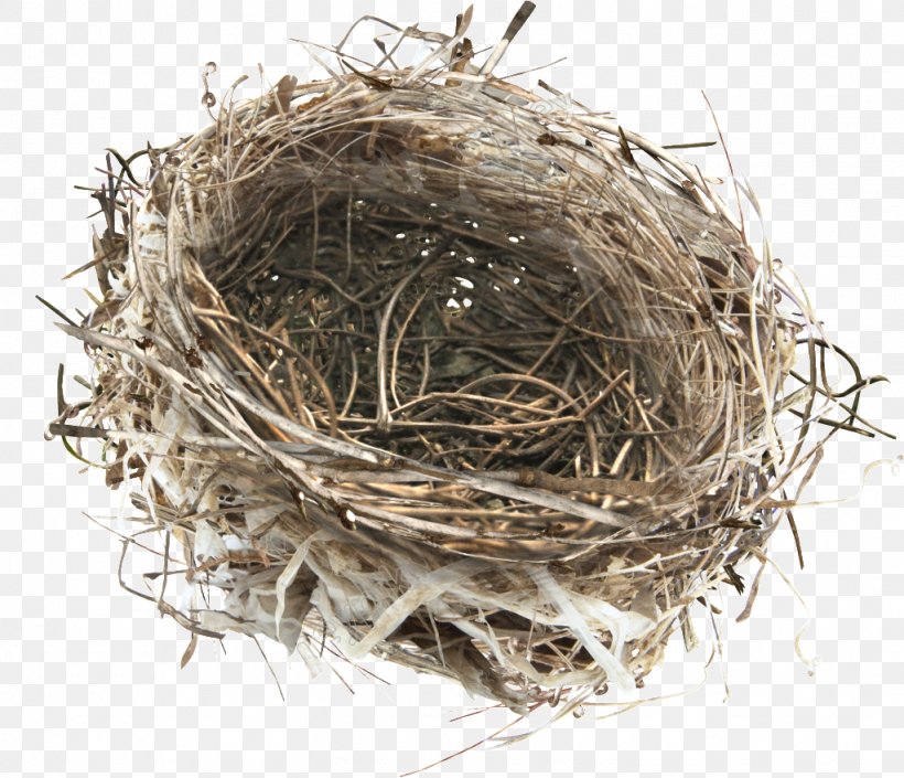 Bird Nest Image, PNG, 1024x881px, Bird, Bird Nest, Drawing, Egg, Nest Download Free