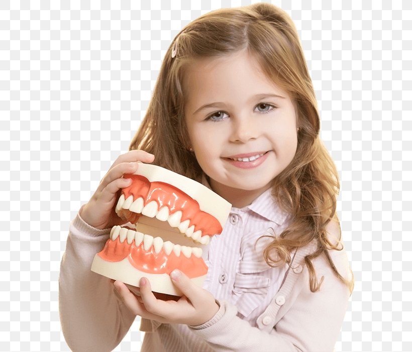 Dentistry Tooth Dental Surgery Dental Tourism, PNG, 592x701px, Dentistry, Child, Cosmetic Dentistry, Dental Surgery, Dental Tourism Download Free