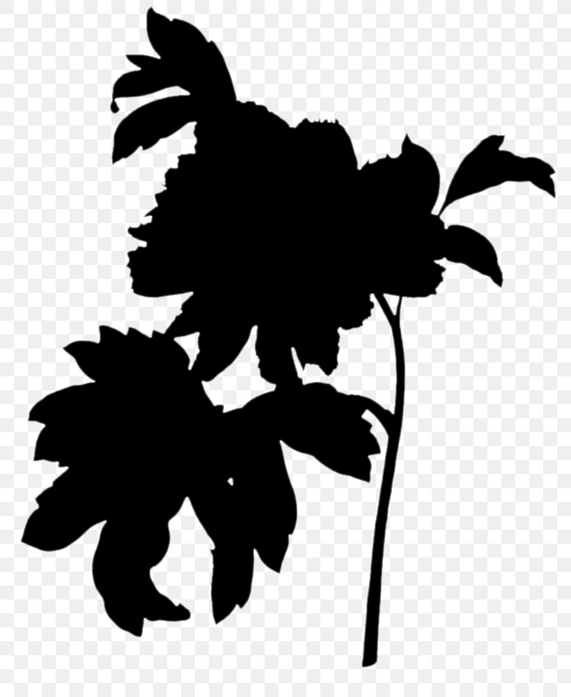 Moutan Peony Rose Painting Illustration, PNG, 782x1000px, Peony, Blackandwhite, Botanical Illustration, Botany, Branch Download Free