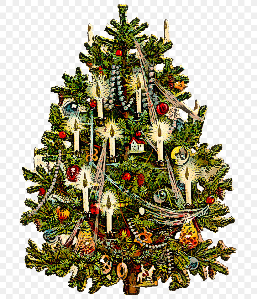 Christmas Tree, PNG, 730x955px, Christmas Tree, Branch, Christmas, Christmas Decoration, Christmas Eve Download Free