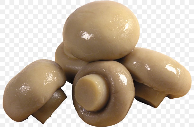 Common Mushroom Edible Mushroom Food, PNG, 800x536px, Common Mushroom, Agaricus, Calocybe Gambosa, Cooking, Edible Mushroom Download Free