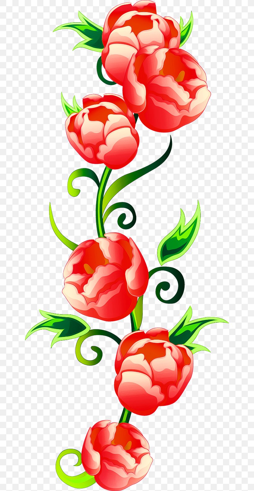 Floral Design Illustration, PNG, 658x1583px, Floral Design, Art, Cut Flowers, Floristry, Flower Download Free
