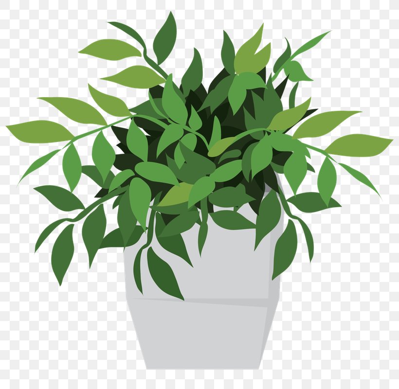 Flowerpot Houseplant Potting Soil Chlorophyll, PNG, 800x800px, Flowerpot, Bonsai, Branch, Chlorophyll, Common Daisy Download Free
