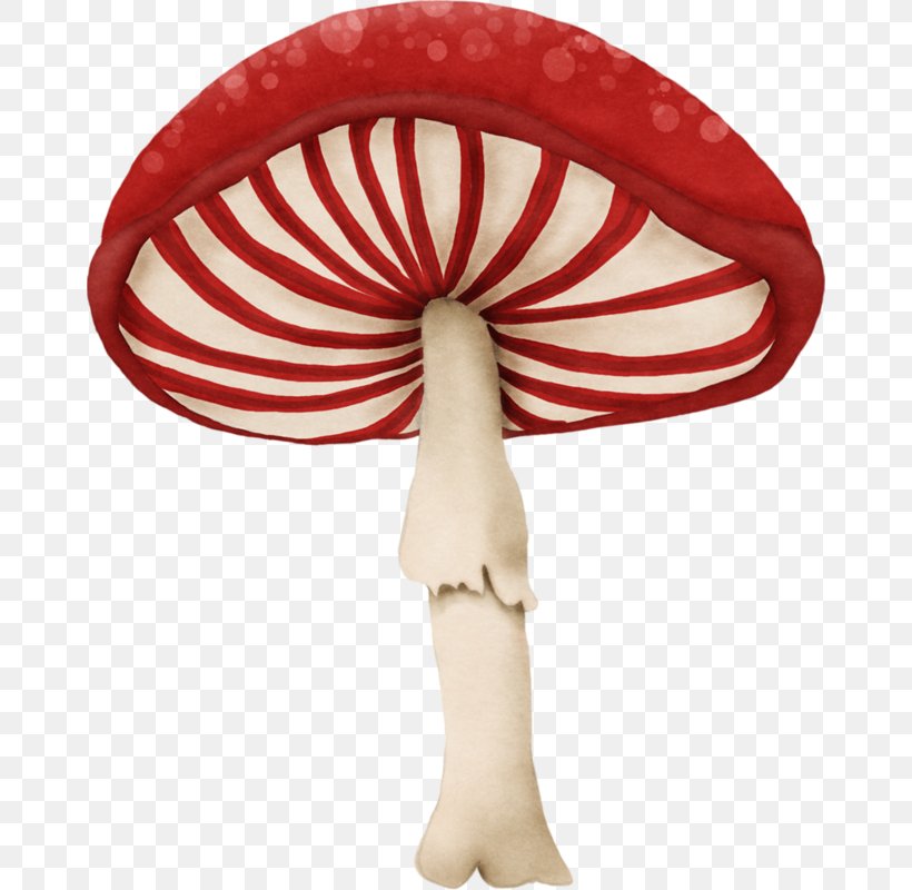 Mushroom Fungus Red Clip Art, PNG, 664x800px, Mushroom, Advertising, Color, Drawing, Fungus Download Free