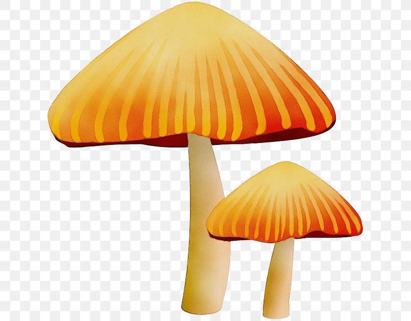 Orange, PNG, 629x640px, Watercolor, Agaricaceae, Agaricomycetes, Edible Mushroom, Lamp Download Free