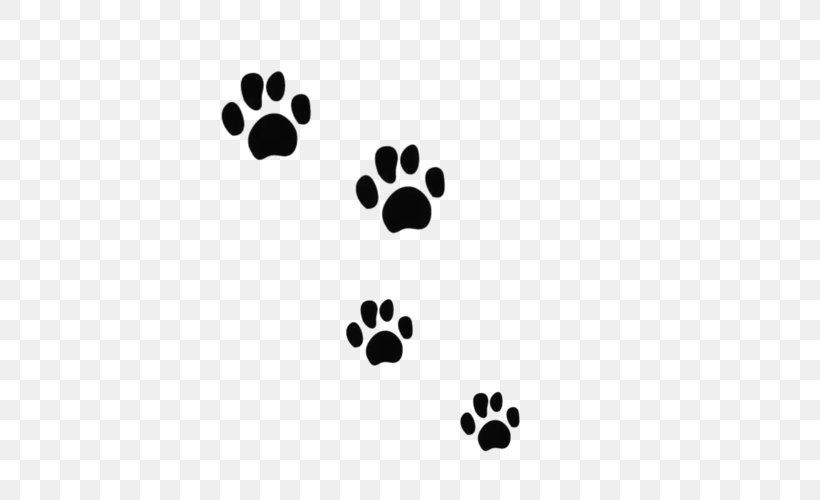 Paw Maine Coon Veterinarian Clip Art, PNG, 500x500px, Paw, Animal Track, Black, Black And White, Carnivoran Download Free