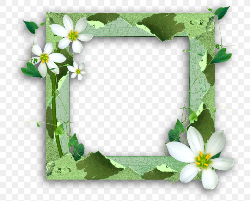Picture Frames Photography Image Paper, PNG, 762x662px, Picture Frames, Cuadro, Digital Scrapbooking, Flower, Green Download Free