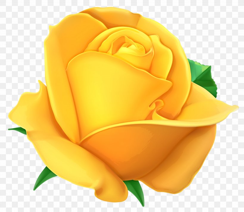 Rose Yellow Clip Art, PNG, 5382x4694px, Rose, Cdr, Close Up, Cut Flowers, Floribunda Download Free