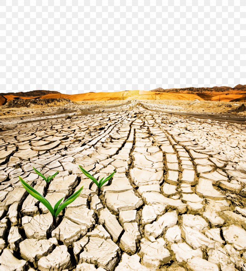 World Day To Combat Desertification And Drought Drylands, PNG, 3307x3638px, Drylands, Arid, Desert, Desertification, Drought Download Free