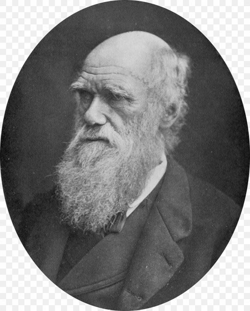 Charles Darwin On The Origin Of Species The Voyage Of The Beagle Evolution Scientist, PNG, 1096x1362px, Charles Darwin, Beard, Black And White, Darwinism, Elder Download Free