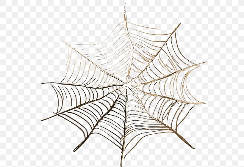 Spider Web Euclidean Vector Icon, PNG, 590x562px, Spider, Computer Graphics, Leaf, Raster Graphics, Spider Silk Download Free