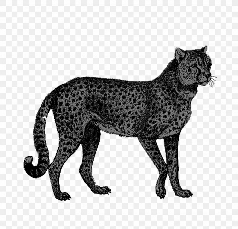 Cheetah African Leopard Lion, PNG, 2480x2388px, Cheetah, African Leopard, Animal, Big Cat, Big Cats Download Free