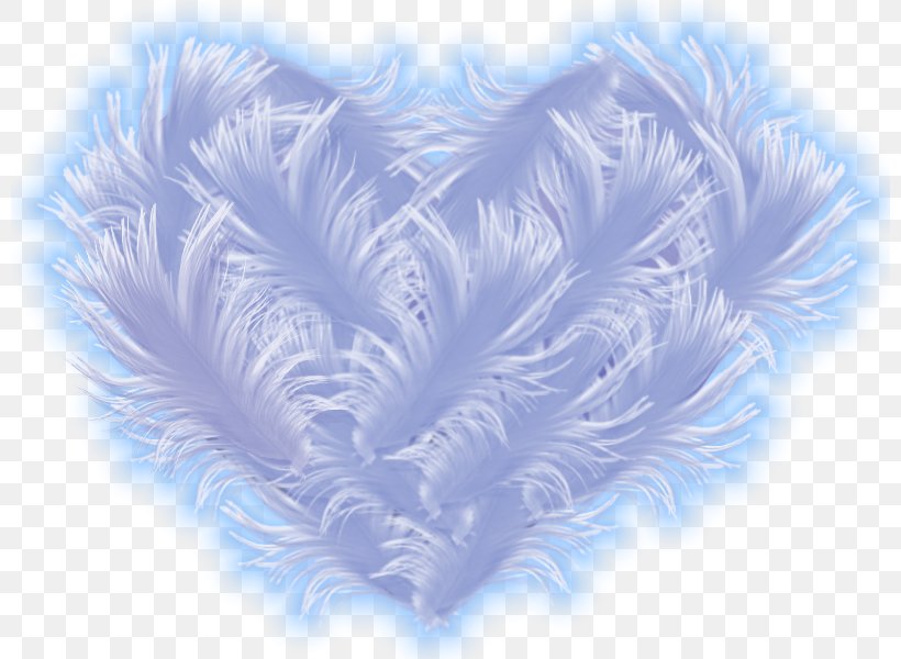Feather Desktop Wallpaper Blue, PNG, 800x600px, Feather, Angel, Animaatio, Aquitaine, Blue Download Free