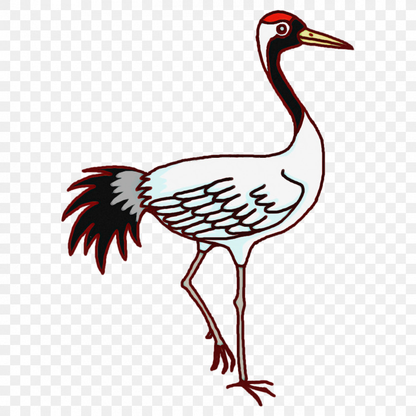 Feather, PNG, 1400x1400px, White Stork, Beak, Beautiful Sheartail, Birds, Birds Wing Download Free
