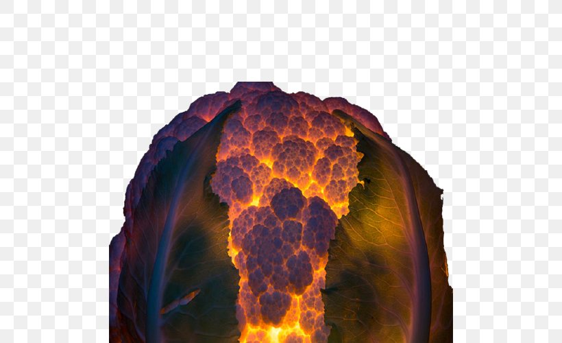Light Vegetable Fruit Photography, PNG, 502x500px, Light, Auglis, Cauliflower, Electric Light, Fire Download Free