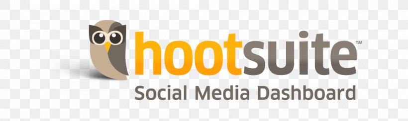 Social Media Hootsuite Blog Facebook Social-Media-Manager, PNG, 1000x300px, Social Media, Blog, Brand, Facebook, Google Download Free