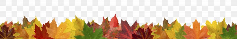 Stock Photography Fotolia Royalty-free Autumn, PNG, 5396x910px, Stock Photography, Autumn, Close Up, Commodity, Field Download Free