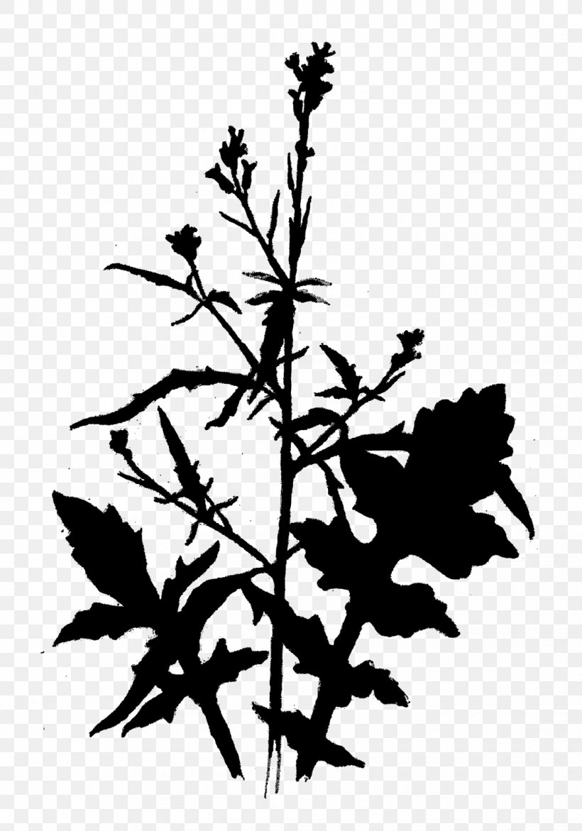 Clip Art Plant Stem Silhouette Flowering Plant Line, PNG, 1120x1600px, Plant Stem, Black, Blackandwhite, Botany, Branch Download Free