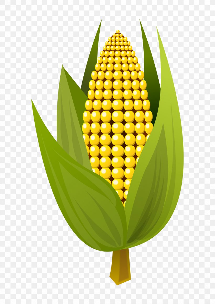 Corn On The Cob Maize Clip Art, PNG, 1697x2400px, Corn On The Cob, Blog, Commodity, Corncob, Ear Download Free