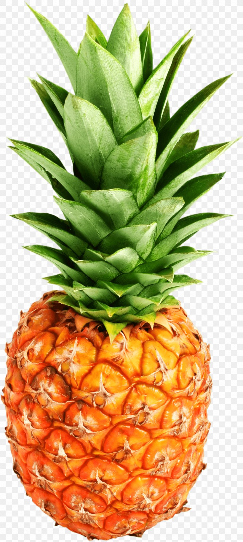 Juice IPhone 7 Pineapple, PNG, 1280x2851px, Juice, Ananas, Bromeliaceae, Food, Fruit Download Free