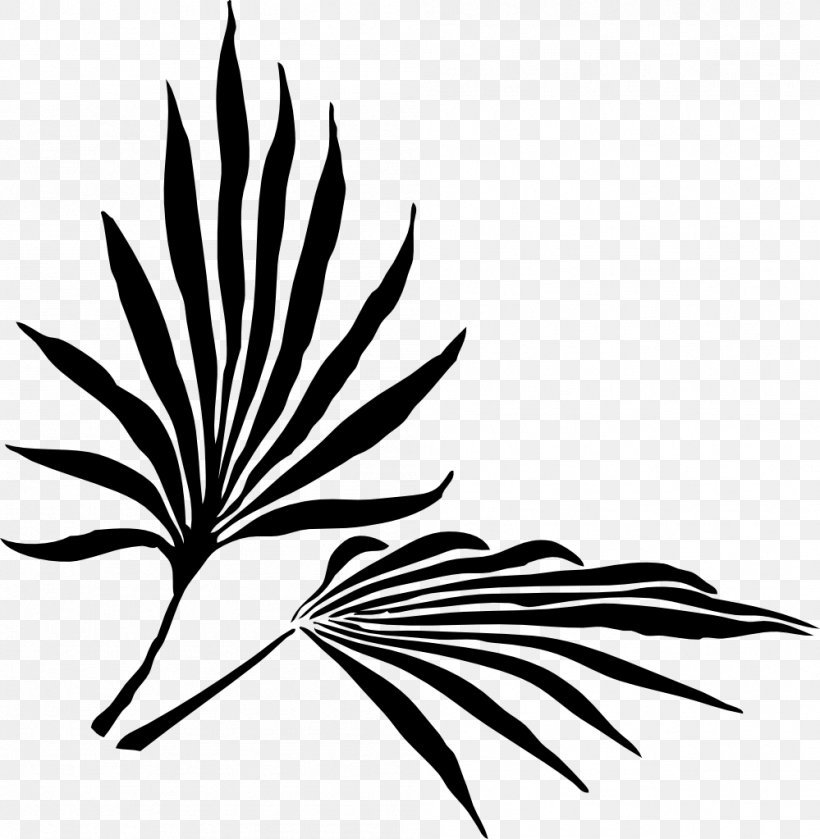 Palm Branch Frond Arecaceae Clip Art, PNG, 999x1023px, Palm Branch, Arecaceae, Artwork, Black And White, Branch Download Free