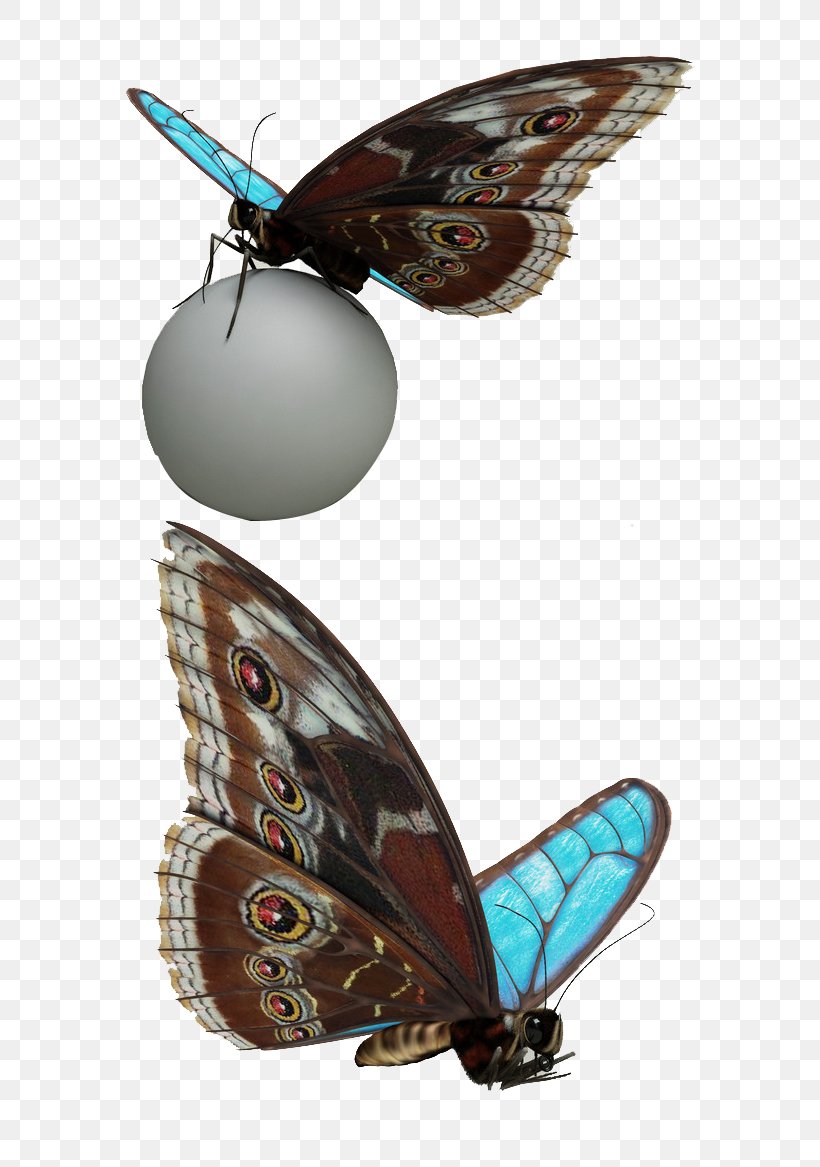 Butterfly Toy Moth, PNG, 600x1167px, Butterfly, Arthropod, Data, Data Compression, Insect Download Free