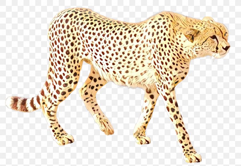Cheetah Leopard Jaguar Cat Tiger, PNG, 1024x706px, Cartoon, African Leopard, Animal, Animal Figure, Animal Print Download Free