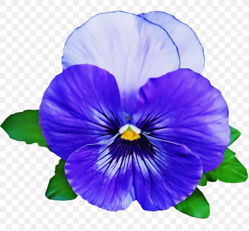 Flower Violet Petal Pansy Purple, PNG, 2072x1928px, Flower, Pansy, Petal, Plant, Purple Download Free