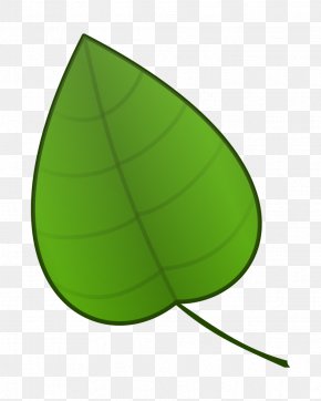 Floral Design Green Leaf Cartoon Animation, PNG, 900x641px, Floral ...