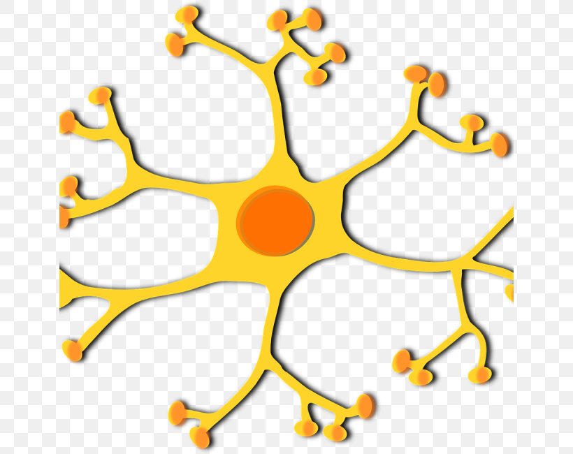 Motor Neuron Clip Art Vector Graphics Nervous System, PNG, 650x650px, Neuron, Area, Artwork, Axon, Body Jewelry Download Free