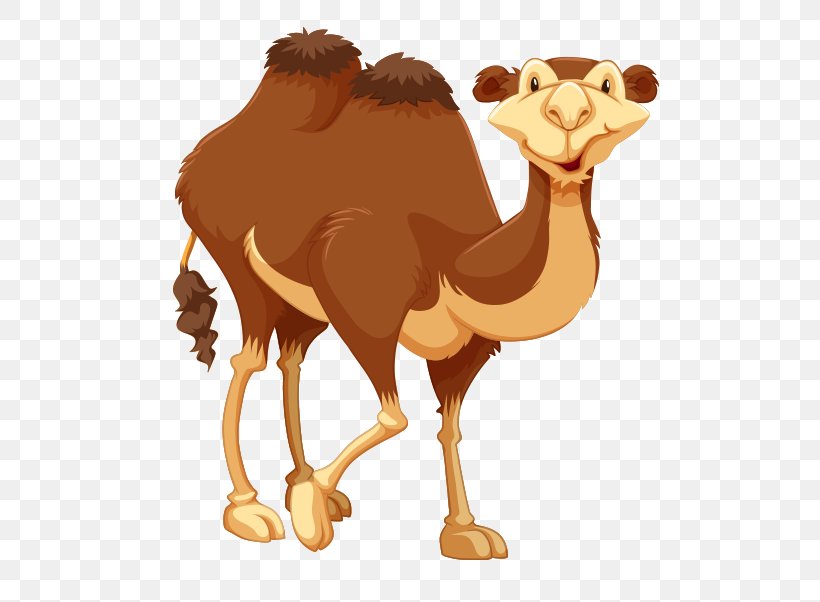 Dromedary Clip Art, PNG, 550x602px, Dromedary, Arabian Camel, Beak, Camel, Camel Like Mammal Download Free