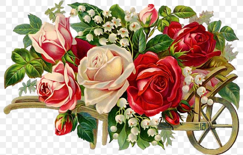 Flower Rose Photography Clip Art, PNG, 800x524px, Flower, Artificial Flower, Cut Flowers, Floral Design, Floristry Download Free