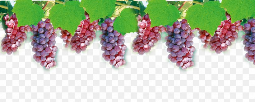 Grape Juice Computer File, PNG, 2422x978px, Grape, Computer Graphics, Designer, Flowering Plant, Food Download Free