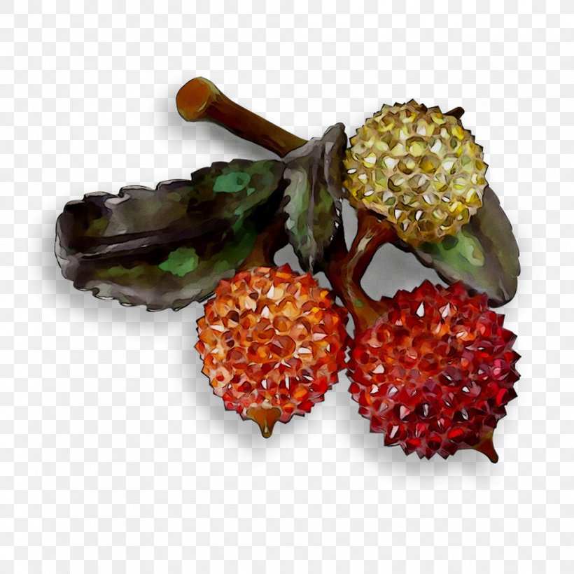 Jewellery Fruit Superfood, PNG, 1008x1008px, Jewellery, Accessory Fruit, Brooch, Earrings, Fashion Accessory Download Free