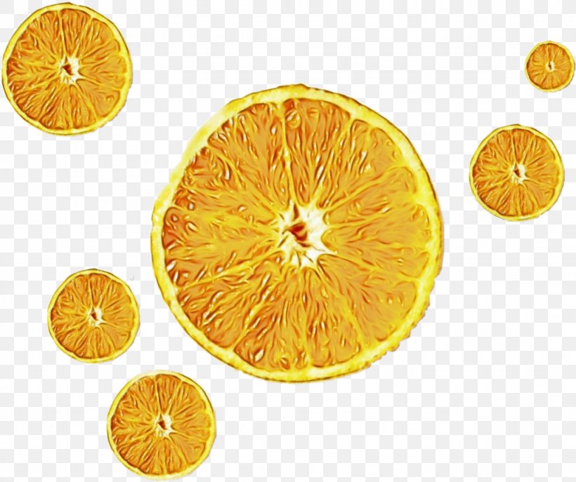 Lemon, PNG, 1024x859px, Blood Orange, Bitter Orange, Bitters, Calamondin, Citric Acid Download Free