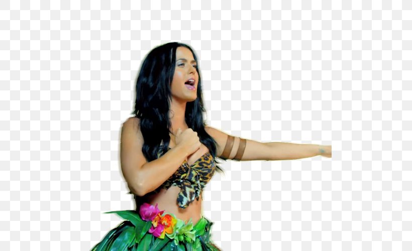 Prismatic World Tour Costume Designer Drawing Roar, PNG, 500x500px, Watercolor, Cartoon, Flower, Frame, Heart Download Free