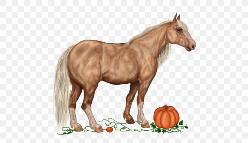American Paint Horse Mustang French Trotter Howrse Akhal-Teke, PNG, 600x475px, American Paint Horse, Akhalteke, Cartoon, Colt, Drawing Download Free