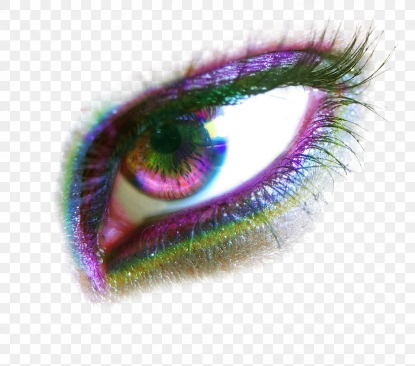 Eye Color Iris, PNG, 1350x1192px, Watercolor, Cartoon, Flower, Frame, Heart Download Free