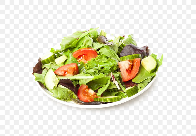Hot Dog Pizza Caesar Salad Chicken Salad Italian Cuisine, PNG, 600x567px, Hot Dog, Caesar Salad, Cheese, Chicken Salad, Diet Food Download Free