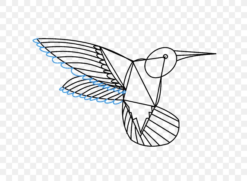Hummingbirds Of Costa Rica Clip Art Drawing Image, PNG, 678x600px, Hummingbird, Area, Art, Bird, Black And White Download Free