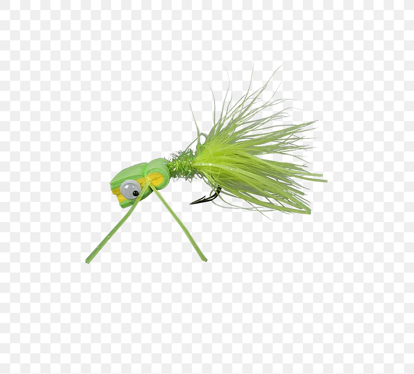 Yellow Fly Chartreuse Black Scientist, PNG, 555x741px, 31 October, 2017 Mini Cooper, Yellow, Artificial Fly, Black Download Free