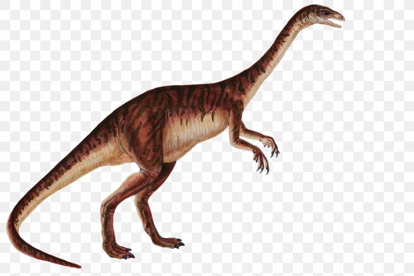 Anchisaurus Gyposaurus Dilophosaurus Plateosaurus Sauropoda, PNG, 1024x683px, Anchisaurus, Dilophosaurus, Dinosaur, Eoraptor Lunensis, Extinction Download Free