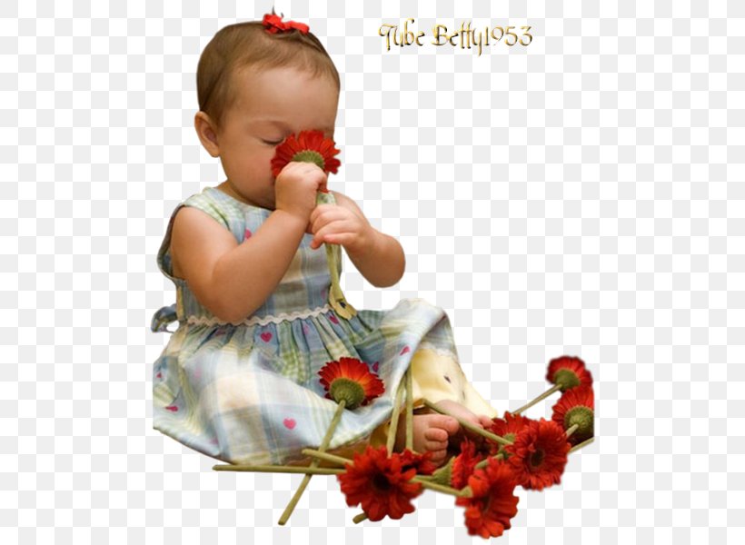 Child Infant Idea Physicist, PNG, 490x600px, Child, Floral Design, Floristry, Flower, Flower Arranging Download Free