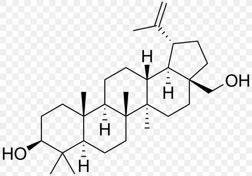 Betulin Triterpene Oleanolic Acid Chemical Compound Research, PNG, 1200x839px, Betulin, Area, Black And White, Chemical Compound, Diagram Download Free